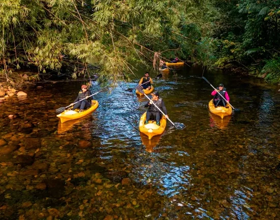 CAIAQUE EM ANTONINA – VALE DO GIGANTE
